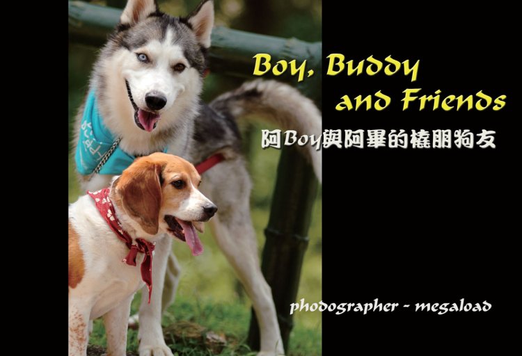 阿Boy與阿畢的撬朋狗友 - 關閉視窗 >> 可點擊圖片